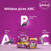 71shPFlb-KL._SL1500_.jpg Whiskas Adult (+1 Year) Dry Cat Food, Chicken Flavour, 1.2kg Pack and Adult (+1 Year) Dry Cat Food, Tuna Flavour, 1.2kg Pack