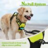 Premium Reflective Dog Vest Harness| Soft Breathable| Padded Handle| Adjustable Straps & Luxury Buckle | Soft Padded Mesh | No Pull | No-Choke | Chest 28-35 inch | All Giant Breeds 35-60 Kg