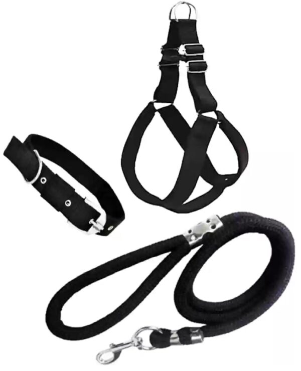 Dog Combo Pack of Harness, Neck Collar Belt and Rope Set (Black, Medium, Waterproof, Rope Size 1.5M-2M) (Black)