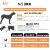 71szY5KgiDL._SL1500_.jpg WESOT Heavy Duty Dog Harness for Medium Large Dogs Labrador American Bully No Pull Front & Back Clip Handle, Adjustable Belt Vest Harness for Training Hunting Walking