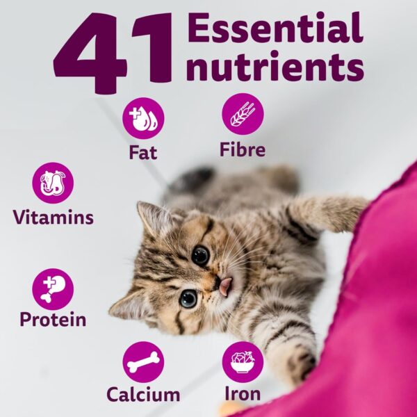 Whiskas Junior Mother Cat & Kitten (2-12 Months) Dry Cat Food, Mackerel Fish Flavour, 1.1 kg, Contains 41 Essential Nutrients, Complete & Balanced Nutrition for Mother Cats & Kittens