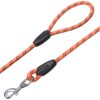 71t4xT31N4L._SL1500_.jpg amazon basics, Heavy Duty Reflective Dog Leash 4ft /122 cm Long Nylon Rope Leash with Anti-Slip Padded Handle for Medium & Large Dogs Durable Training Leash |12 mm Thickness | Pink