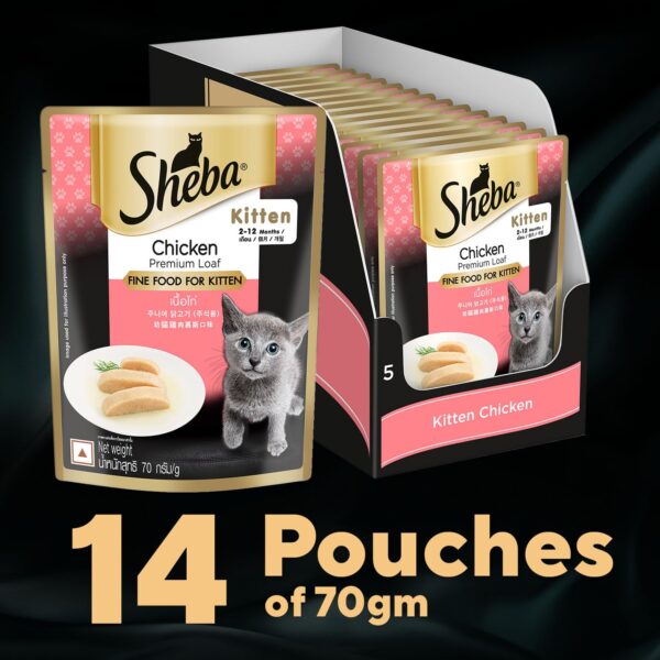71tT851tOpL._SL1500_.jpg Sheba Fine Premium Kitten (2-12 Months) Wet Cat Food, Chicken Premium Loaf, 70 g Pouch (Pack of 14), High-Moisture Gravy Kitten cat Food for Healthy Hydration