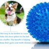 PremiumAV Spike Bouncy & Squeaky TPR Rubber Ball – Durable Dog & Cat Chew Toy for Teeth Cleaning, Interactive Dental Health Toy, Stress Relief and Fetch