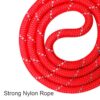 Reflective Adjustable Pet Leash for Dogs| Durable and Comfortable| Strong Nylon with Padded Handle| Straps Dogs Perfect for Harness and Neck Collar Belts ((D-Shape) 1/5 inch x 4 feet, Red)