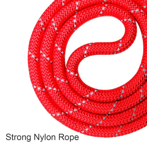 Reflective Adjustable Pet Leash for Dogs| Durable and Comfortable| Strong Nylon with Padded Handle| Straps Dogs Perfect for Harness and Neck Collar Belts ((D-Shape) 1/5 inch x 4 feet, Red)