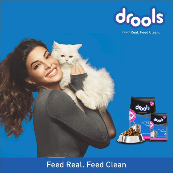71utALJccL._SL1500_.jpg Drools Adult(+1 Year) Dry Cat Food, Ocean Fish, 3 kg + 1.2 kg Free & Kitten(1-12 Months) Dry Cat Food, Ocean Fish, 1.2kg with Free Container