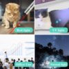 71u7YuKYclL._SL1000_.jpg Cat Chasing Toy, USB Laser Pointer for Chasing Interactive Cat Toy 3 in 1 Laser Pen Checking Cat Skin/White Light Illumination
