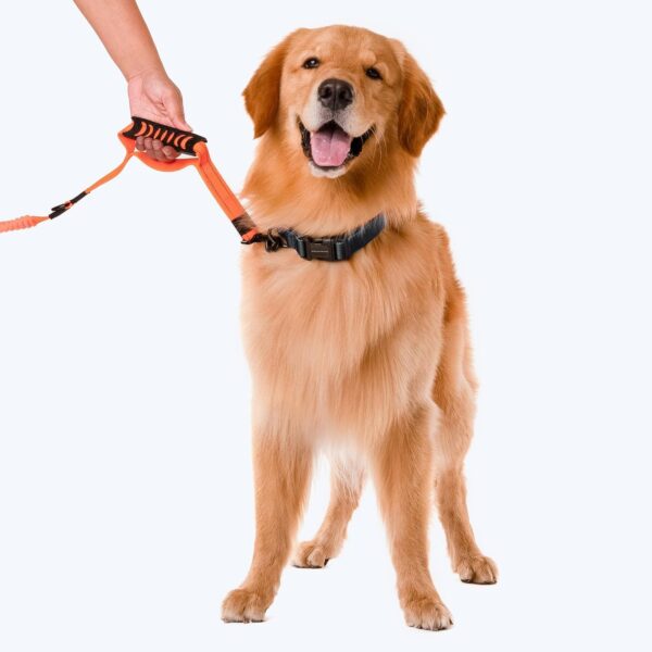 71uUGYI9YDL._SL1500_.jpg Heads Up For Tails Shock Absorption Dog Leash - Orange