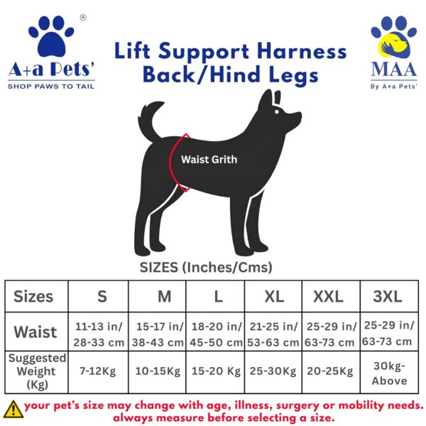 A+a Pets' Dog Lift Support Harness for Hind/Back Legs | for Disable Aged Injured Paralysed Arthritis Pets (Navy, L)