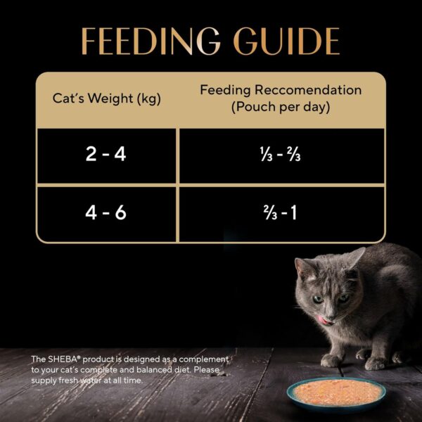 71ubPpMVXOL._SL1500_.jpg Sheba Fine Premium Adult (1+ Years) Wet Cat Food, Tuna Pumpkin & Carrot in Gravy, 70 g Pouch (Pack of 28), High-Moisture Gravy cat Food for Healthy Hydration