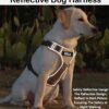 Dog Harness with Name id Customized for Dogs Large Medium Small Puppy All Breeds No Pull Harness Reflective Vest Harness Belt Adjustable Personalized with Dog Name (Beige) (Large Dogs)