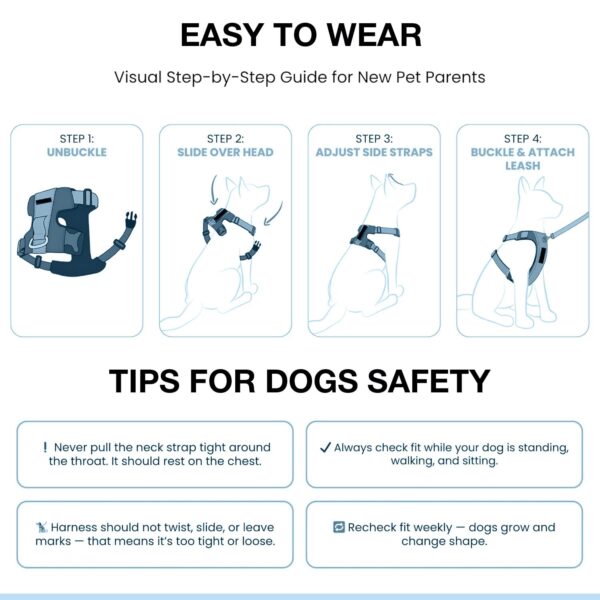 Pastel Dog Harness and Leash Set for Dogs and Cats | Adjustable No-Pull, No-Choke Soft Padded Pet Vest with Matching Leash | Comfortable, Cute and Stylish Walking Harness (Blue)