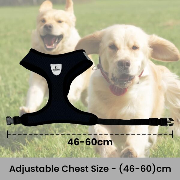 Kuber Industries Small Dog/Cat Chest Harness with Nylon Leash I No Pull, Soft Padded and Breathable Pet Vest I Adjustable, Reflective I Easy Control Pet Chest Belt I (Small, Black)