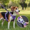 Front Range No-Pull Dog Harness – Adjustable Reflective Pet Vest with Easy Control Handle for Outdoor Adventures Orange