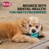 71v79aHU6kL._SL1500_.jpg TRIXIE Denta Fun Ball Dog Toy, Made with Non-Toxic Natural Rubber, Massages Dogs Gums, Cleans Teeth & Promotes Dental Hygiene, Prevents Further Build-up of Plaque & Tartar - 5 cm