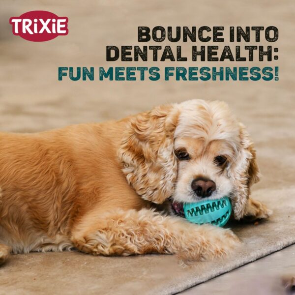 71v79aHU6kL._SL1500_.jpg TRIXIE Denta Fun Ball Dog Toy, Made with Non-Toxic Natural Rubber, Massages Dogs Gums, Cleans Teeth & Promotes Dental Hygiene, Prevents Further Build-up of Plaque & Tartar - 5 cm