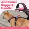 Premium Reflective Dog Vest Harness| Soft Breathable| Padded Handle| Adjustable Straps & Luxury Buckle| No-Choke Design with Free Leash-26mm Chest (28-35inch) All Medium Breeds 14-22 Kg