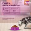 Whiskas Junior Mother Cat & Kitten (2-12 Months) Dry Cat Food, Ocean Fish Flavour, 450 g, Contains 41 Essential Nutrients, Complete & Balanced Nutrition for Mother Cats & Kittens (Pack of 2)