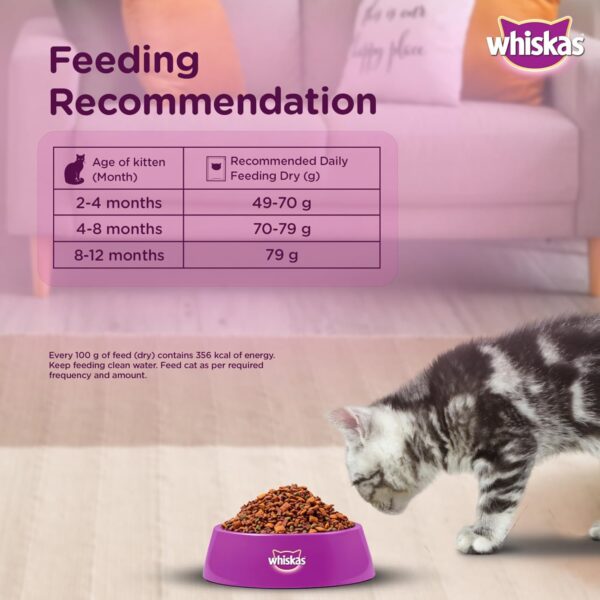 Whiskas Junior Mother Cat & Kitten (2-12 Months) Dry Cat Food, Ocean Fish Flavour, 450 g, Contains 41 Essential Nutrients, Complete & Balanced Nutrition for Mother Cats & Kittens (Pack of 2)