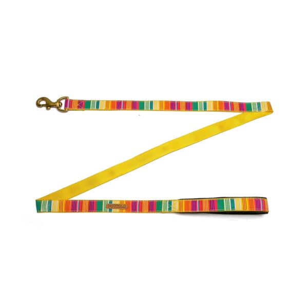 PetWale Dog Leash with Padded Handle | Suited for Walking, Running, Training & More | Colourful Stripes Print | Easy to Clean & Maintain | Durable & Sturdy | L: 5 feet, W: 1 inch