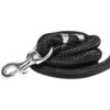 Tail 5 Feet Dog Leash with Comfortable Padded Handle for Tail 5 Feet Dog Leash with Comfortable Padded Handle for Small Medium and Large Dogs (5FT-1/2'', Black)