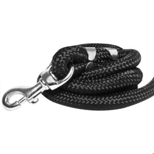 Tail 5 Feet Dog Leash with Comfortable Padded Handle for Tail 5 Feet Dog Leash with Comfortable Padded Handle for Small Medium and Large Dogs (5FT-1/2'', Black)