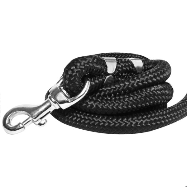 Tail 5 Feet Dog Leash with Comfortable Padded Handle for Tail 5 Feet Dog Leash with Comfortable Padded Handle for Small Medium and Large Dogs (5FT-1/2'', Black)