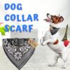 Western Era Stylish Dog Collar Scarf – Adjustable, Comfortable Pet Accessory for Puppy, Kitten, Trendy Bandana, Soft Fabric, Perfect, Special Occasions, Washable, Small Breed (Black)