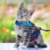KUTKUT Cat Harness and Leash Set for Walking - Soft Mesh Adjustable Vest With Reflective Strap, Comfort Fit for Pet Kitten Puppy (Size: M, Chest: 28cm - 32cm)