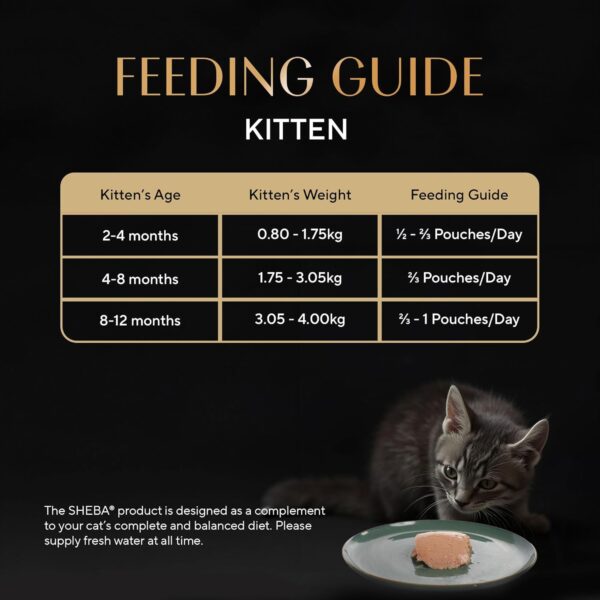 71vxHpTJwVL._SL1500_.jpg Sheba Fine Premium Kitten (2-12 Months) Wet Cat Food, Chicken Premium Loaf, 70 g Pouch (Pack of 14), High-Moisture Gravy Kitten cat Food for Healthy Hydration