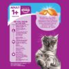 71wBQI3O3FL._SL1201_.jpg Whiskas Adult (+1 Year) Dry Cat Food, Chicken Flavour, 1.2kg Pack and Adult (+1 Year) Dry Cat Food, Ocean Fish Flavour, 1.2kg Pack