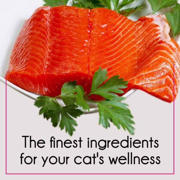 71wNrJHLc6L._SL1500_.jpg Purepet Adult Dry Cat Food Tuna & Salmon Flavour, 1 kg Pack