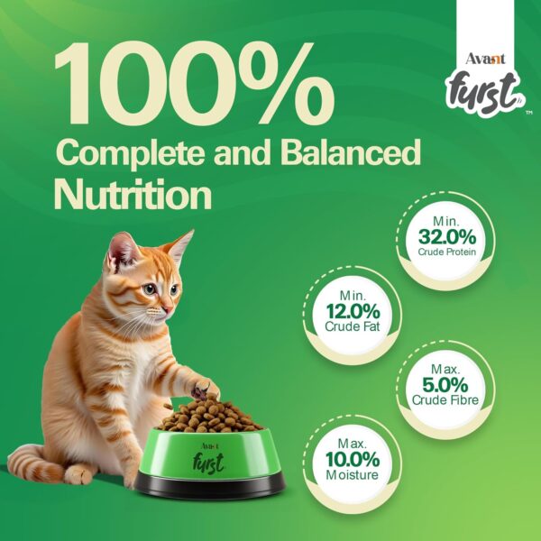 71wSGFVY5rL._SL1500_.jpg Kitten Dry Cat Food – Tuna Fish Flavor | 1kg