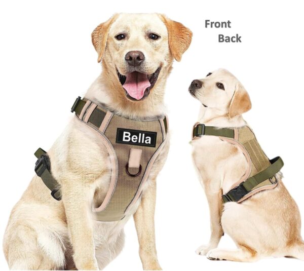 Dog Harness with Name id Customized for Dogs Large Medium Small Puppy All Breeds No Pull Harness Reflective Vest Harness Belt Adjustable Personalized with Dog Name (Beige) (Large Dogs)
