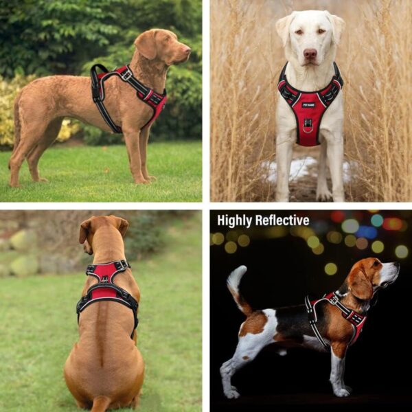 No Pull Dog Chest Belt Harness, Comfortable & Adjustable Size for 24-35 Kg Pet (Red, Large)