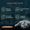 71xRcIpkM-L._SL1500_.jpg Sheba Soup with Tuna Adult Wet Cat Food, 160g (4 x 40g), Finely Sliced Pieces of Tuna in Smooth, Silky and Velvety Broth (Pack of 4)