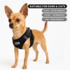 71xgxQ98qL._SL1500_.jpg WOOFLIX Dog Harness for Small Dogs, Puppies and Cats | Suitable for Small Size Dogs, Cats & Puppies of 7 kg - 10 kg | Reflective Soft Padded Dog Harness with Secure Fit | Black (7 kg-10 kg Dog & Cat)