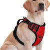 No Pull Dog Chest Belt Harness, Comfortable & Adjustable Size for 24-35 Kg Pet (Red, Large)