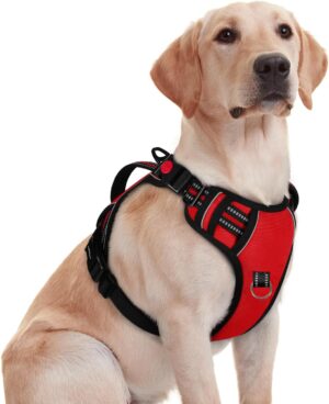 No Pull Dog Chest Belt Harness, Comfortable & Adjustable Size No Pull Dog Chest Belt Harness, Comfortable & Adjustable Size for 24-35 Kg Pet (Red, Large)
