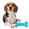 71xyE8bpUkL._SL1500_.jpg BarkButler x FOFOS Cooling Bone Dog Chew Toy- 100% Chew Toys for Dogs, Dog Toys for Large Dogs (10-30kgs) - Blue