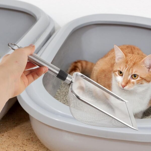 Cat Litter Scooper, Stainless Steel Cat Litter Scoop for Cats and Small Pets, Durable Waste Removal Tool with Comfortable Handle, Easy to Clean for Cat Litter and Reptile Terrariums