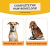 Nebula Nights Reflective No-Pull Dog Vest Harness for Large Dogs (21-30 kg) | Secure Lock-Unlock, Adjustable Strap, Dual Leash Hook, Soft & Padded Harness for All Dogs| Chest: 23–30"