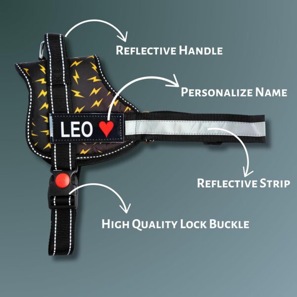 Pet King Personalized No-Pull Dog Harness with Leash � Custom Dog Name & Phone Number Adjustable Reflective Vest for All Breeds Size � Easy Control & Comfortable. (Thunder, S(6-12 KGs))