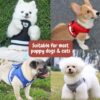 Dog Harness, Puppy Dog or Cat Harness with Nylon Leash, Reflective No Pull, Soft and Breathable Dog Vest(Red,Small)