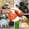 71yrJkWqZzL._SL1500_.jpg Cat Muscle Arm, Funny Pet Costume Accessory for Cats, Creative Cat Toy for Halloween Parties, Photo Shoots and Social Media Content(Orange)