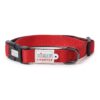 Zigly Lifestyle Classic Adjustable Dog Padded Nylon Neck Collar for Pets - X Small (12Mm) - Red