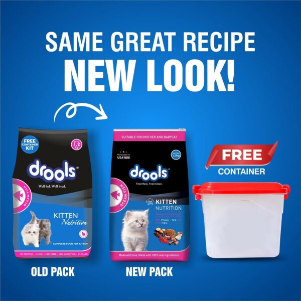 Drools Kitten(1-12 Months) Dry Cat Food, Ocean Fish, 1.2kg with Free Container