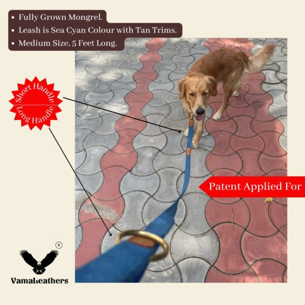 71zDaZsNCL._SL1080_.jpg Vama Leathers I Heavy Duty Strong Leash I Anti Slip Leash I 100% Cotton I Soft & Comfortable to Hold I 2 Handle Leash I for Giant, Ex Large & Large Dogs I Army Green
