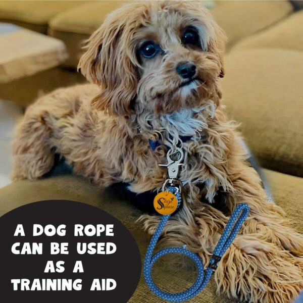 Sage Square Strong Dog Rope Leash | Durable Heavy Duty Comfortable Nylon Leash | Walking Leads with Strong Hook | for Large Dogs | Pack of 1 (Color May Vary) (9 MM)